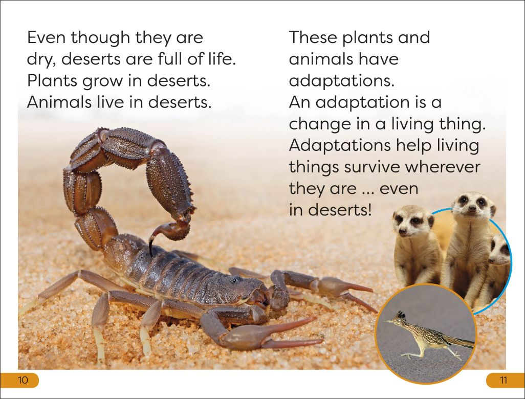 DK Super Readers Level 1: Desert Plants and Animals