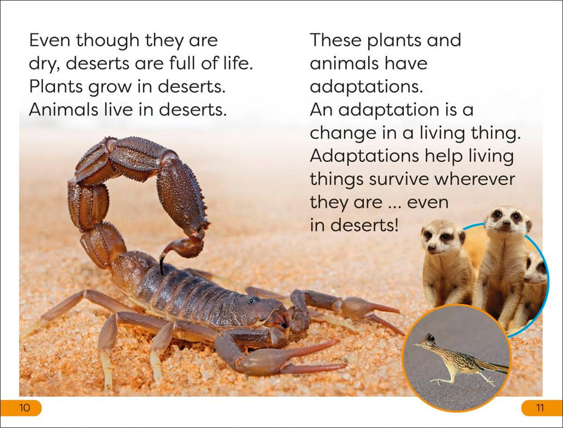 DK Super Readers Level 1: Desert Plants and Animals