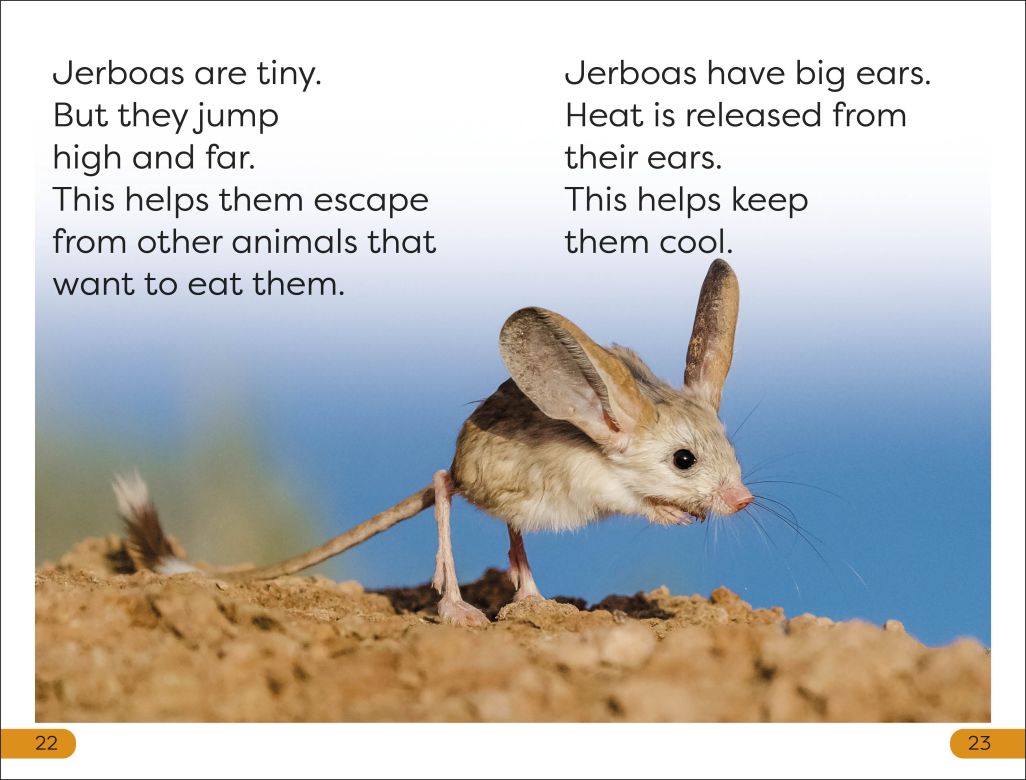 DK Super Readers Level 1: Desert Plants and Animals