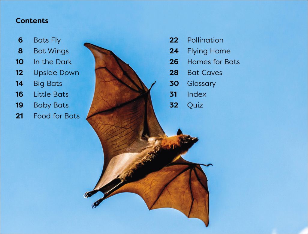 DK Super Readers Level 1: All About Bats