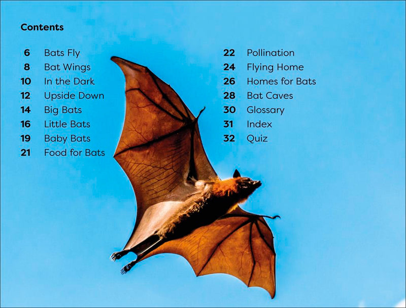 DK Super Readers Level 1: All About Bats