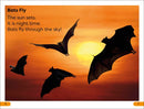 DK Super Readers Level 1: All About Bats