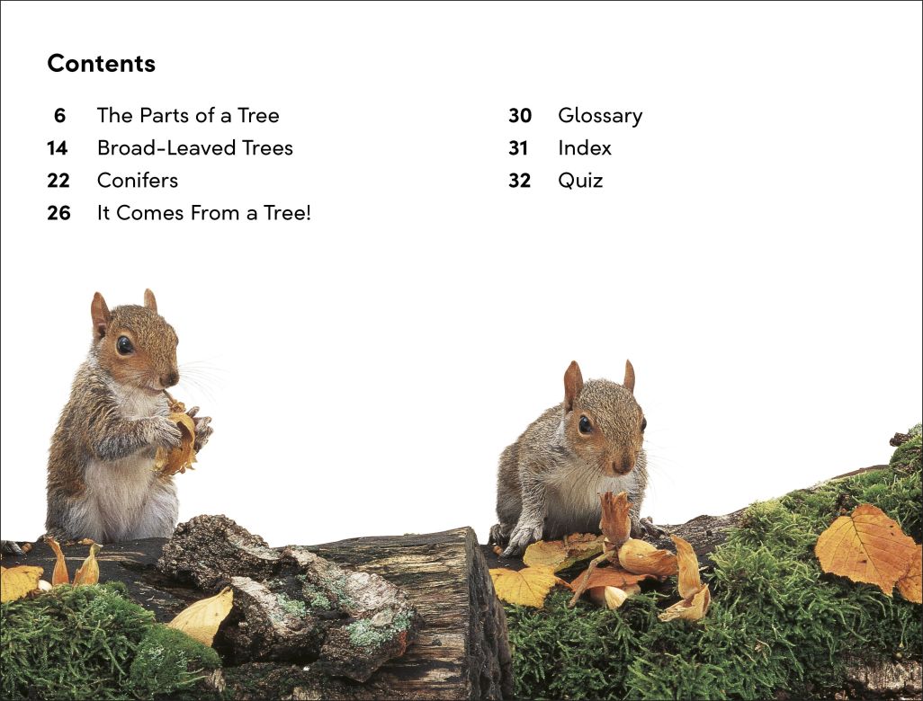 DK Super Readers Level 2: The Secret Life of Trees