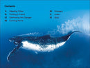 DK Super Readers Level 2: Journey of a Humpback Whale