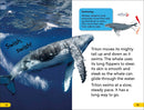 DK Super Readers Level 2: Journey of a Humpback Whale