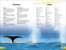 DK Super Readers Level 2: Journey of a Humpback Whale