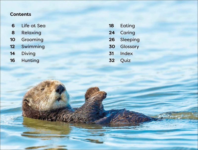 DK Super Readers Level 1: Sea Otters