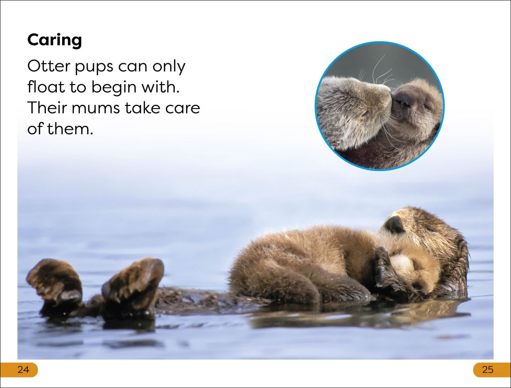 DK Super Readers Level 1: Sea Otters