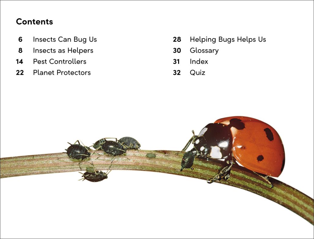 DK Super Readers Level 2: Bugs and Us