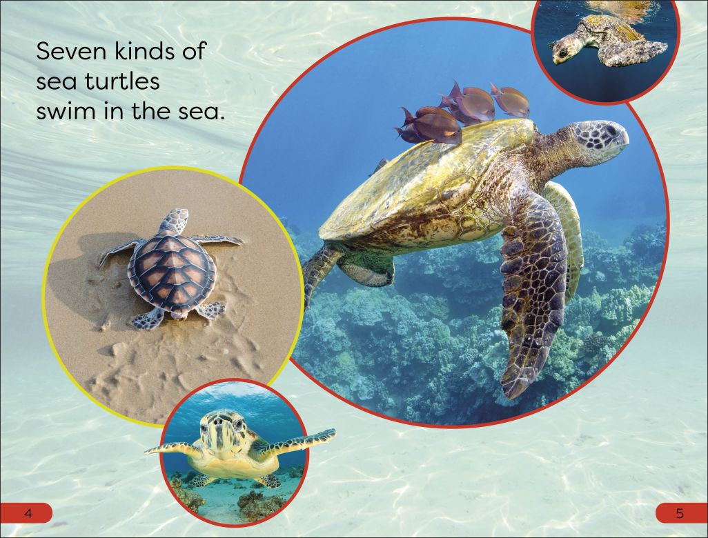 DK Super Readers Pre-Level: Save the Sea Turtles