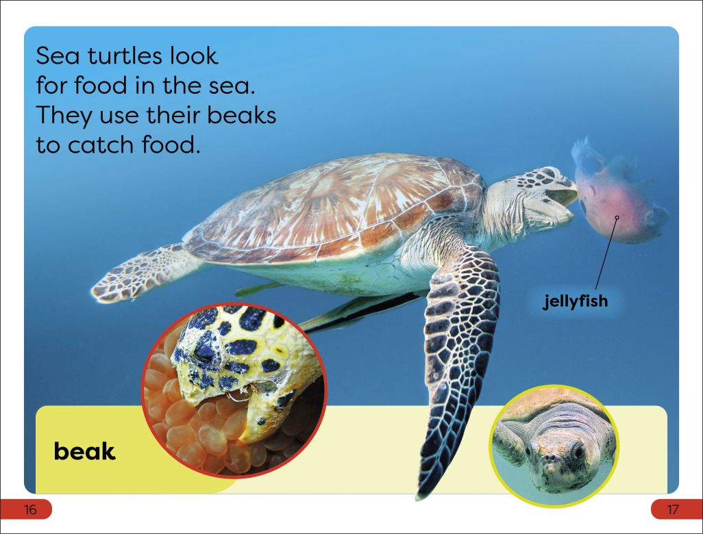 DK Super Readers Pre-Level: Save the Sea Turtles