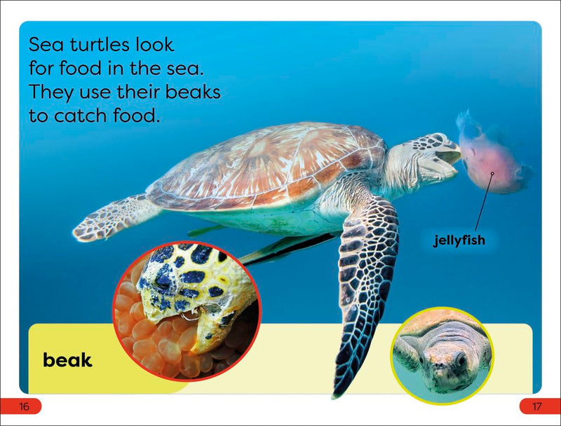 DK Super Readers Pre-Level: Save the Sea Turtles