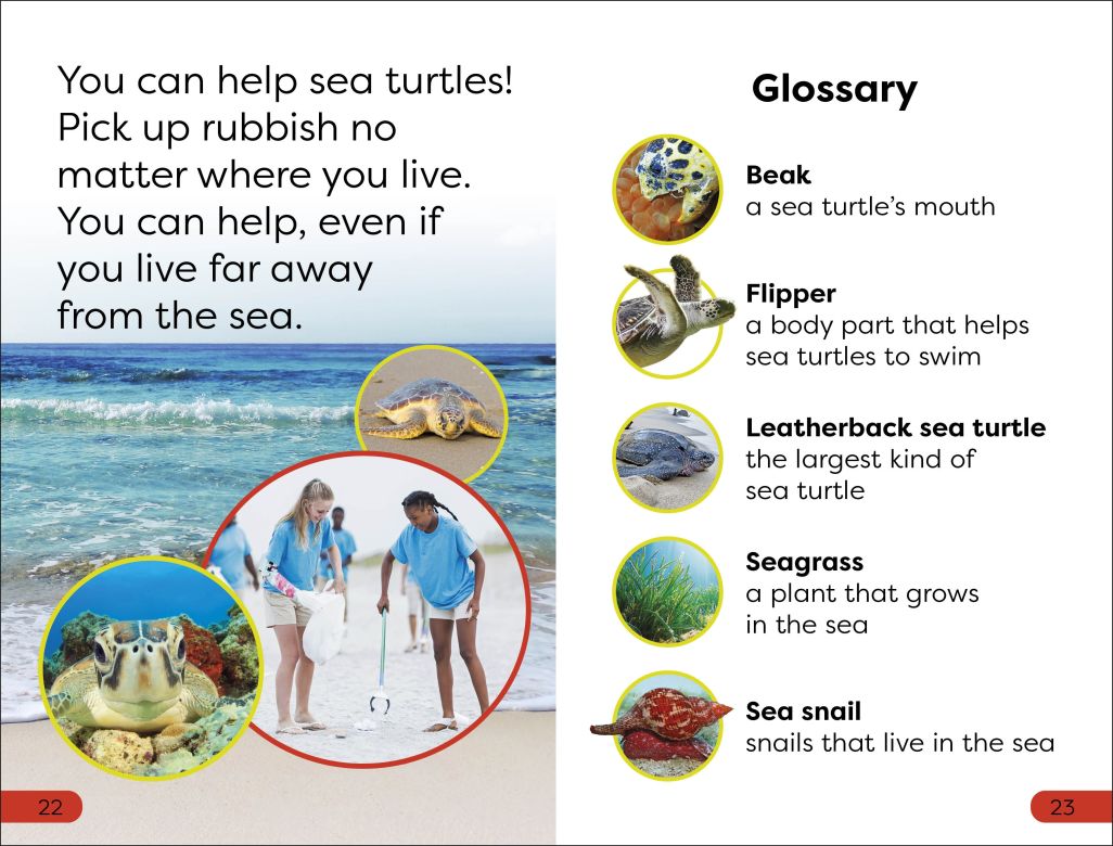 DK Super Readers Pre-Level: Save the Sea Turtles