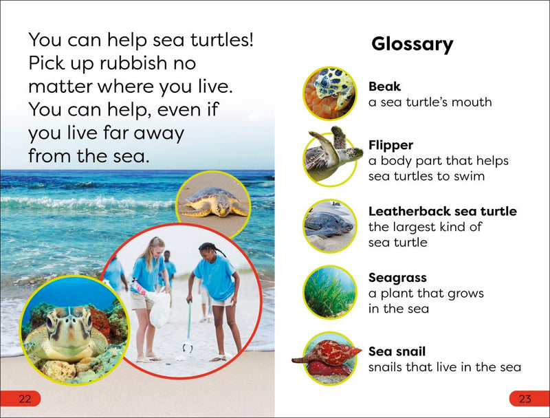 DK Super Readers Pre-Level: Save the Sea Turtles