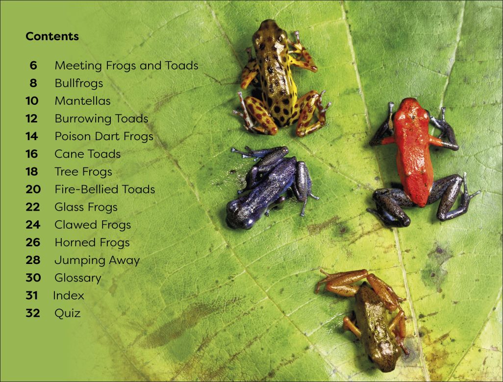 DK Super Readers Level 1: Frogs and Toads