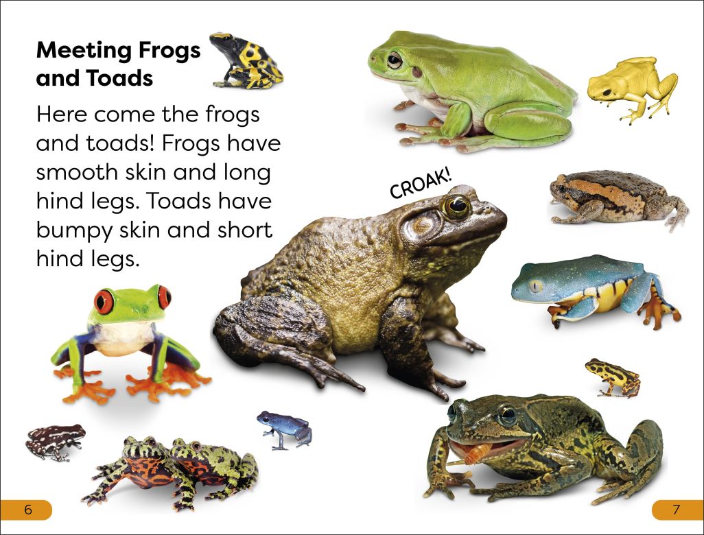 DK Super Readers Level 1: Frogs and Toads