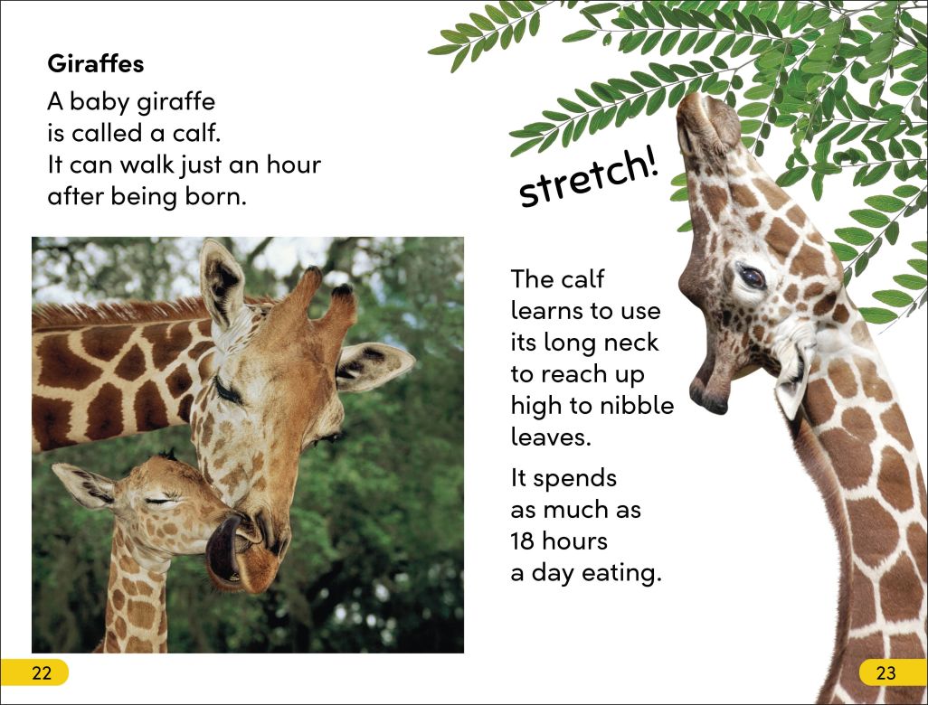DK Super Readers Level 2: Wild Baby Animals
