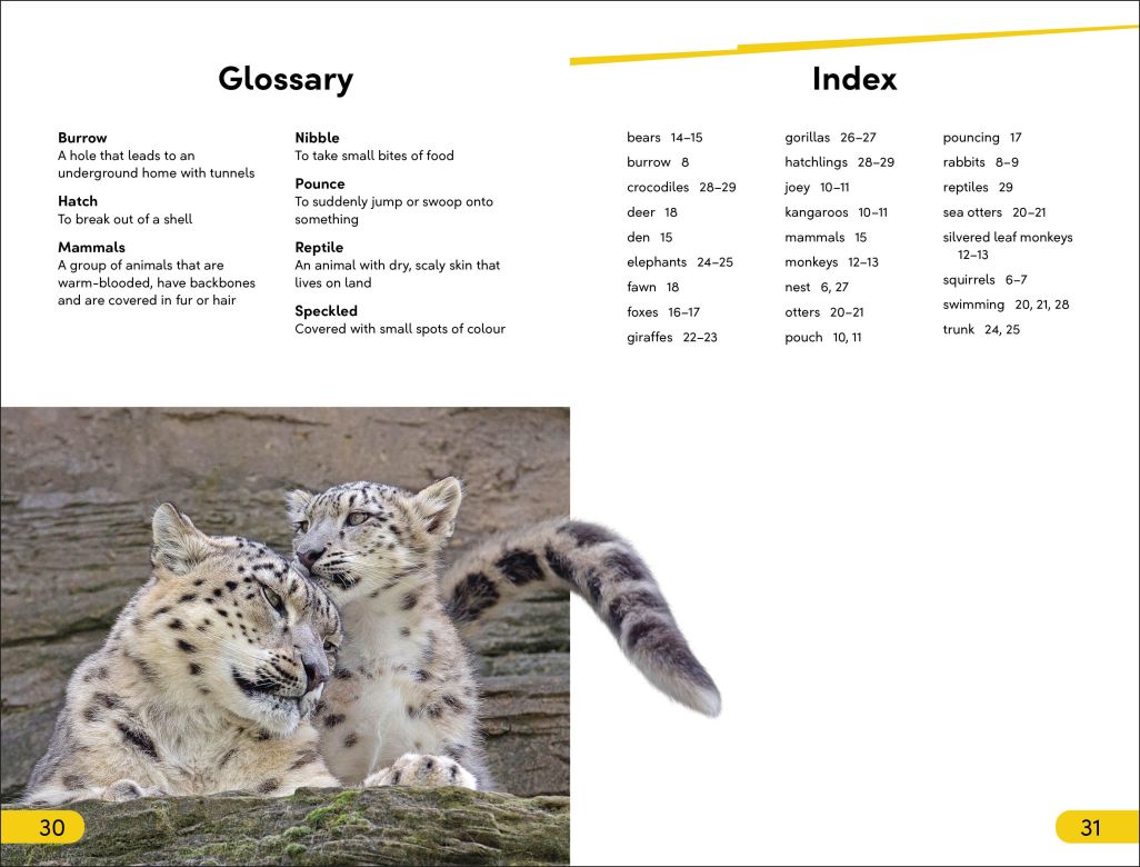 DK Super Readers Level 2: Wild Baby Animals