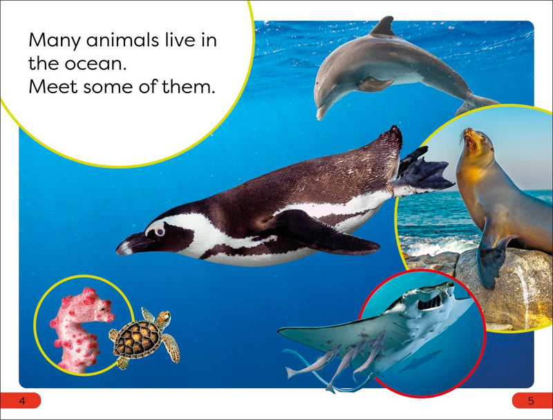 DK Super Readers Pre-Level Ocean Animals