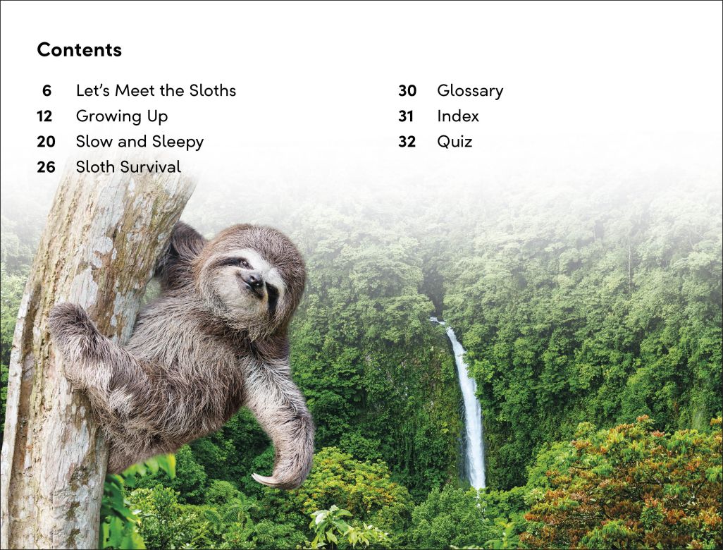 DK Super Readers Level 2: Sloths