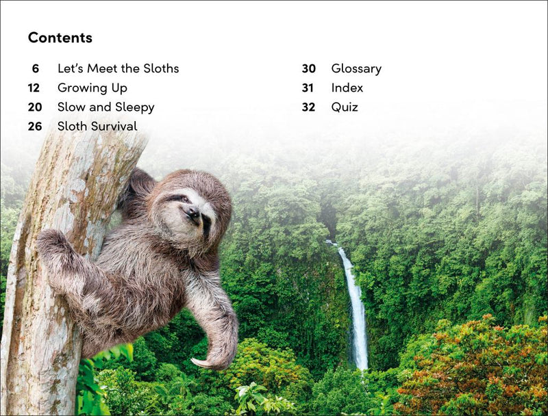 DK Super Readers Level 2: Sloths