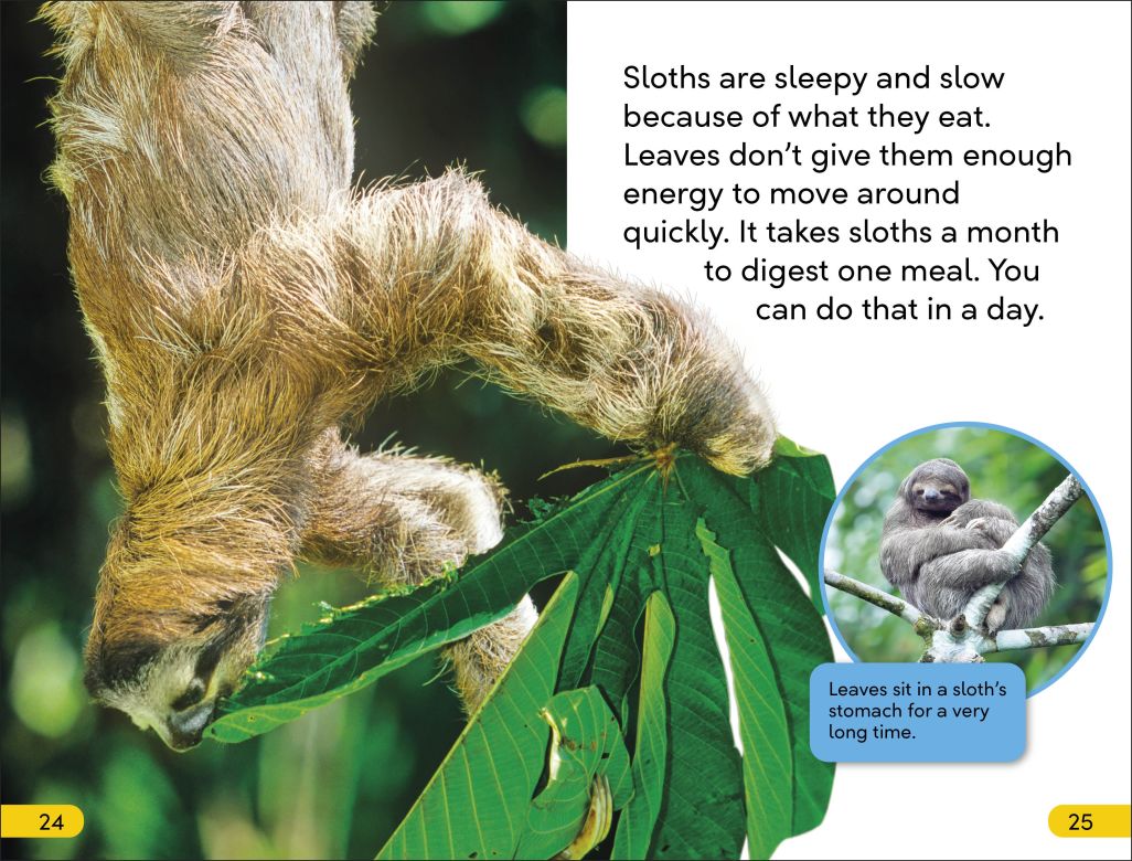 DK Super Readers Level 2: Sloths