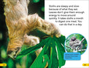 DK Super Readers Level 2: Sloths
