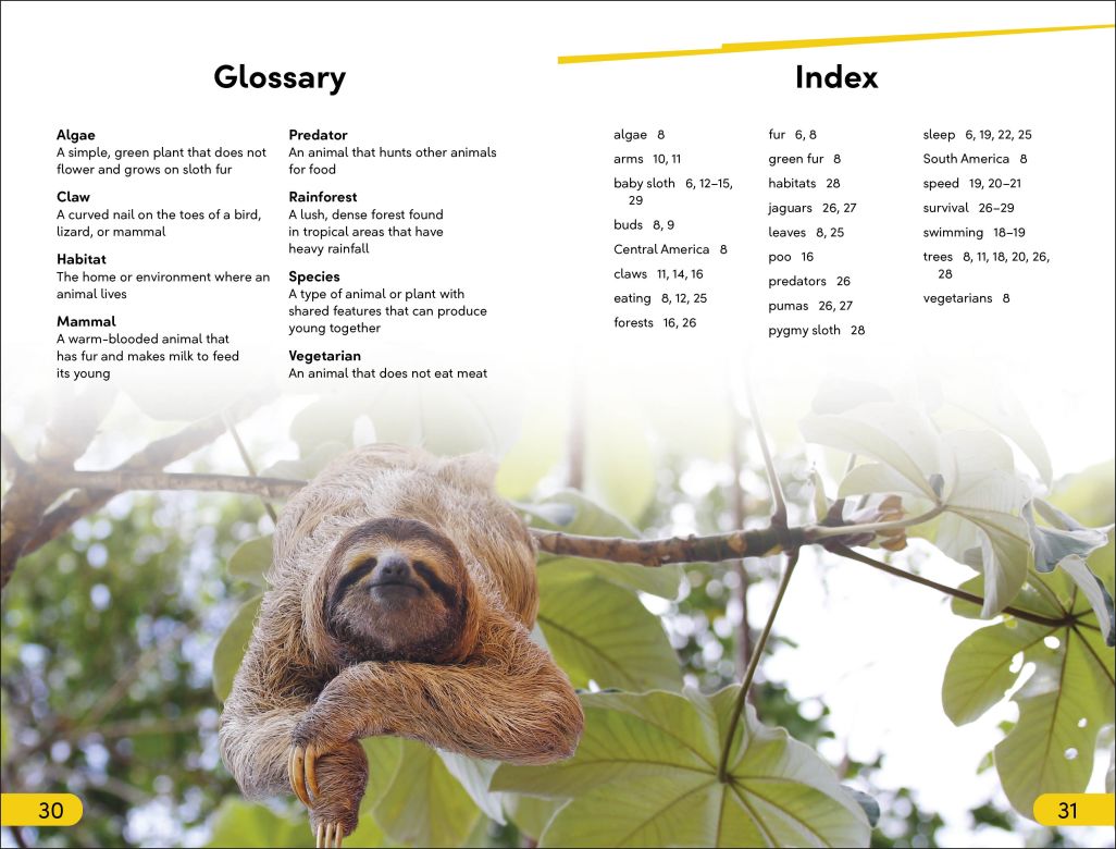 DK Super Readers Level 2: Sloths