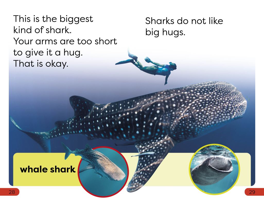 DK Super Readers Pre-Level: Little Sharks Big Sharks