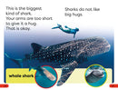 DK Super Readers Pre-Level: Little Sharks Big Sharks