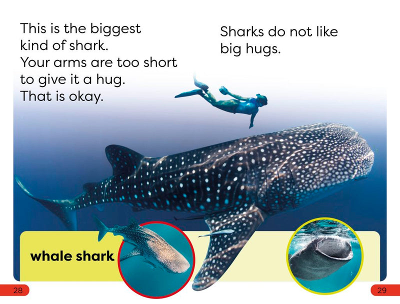 DK Super Readers Pre-Level: Little Sharks Big Sharks