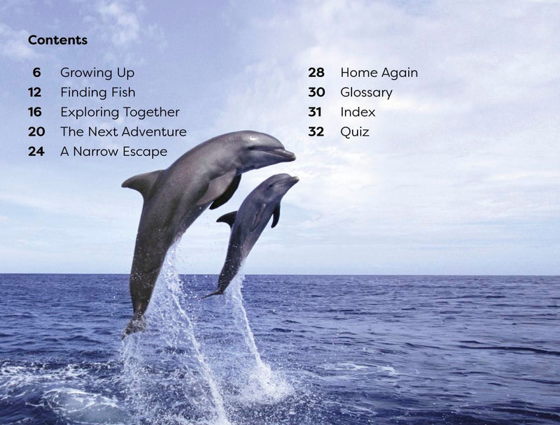 DK Super Readers Level 1: Diving Dolphin