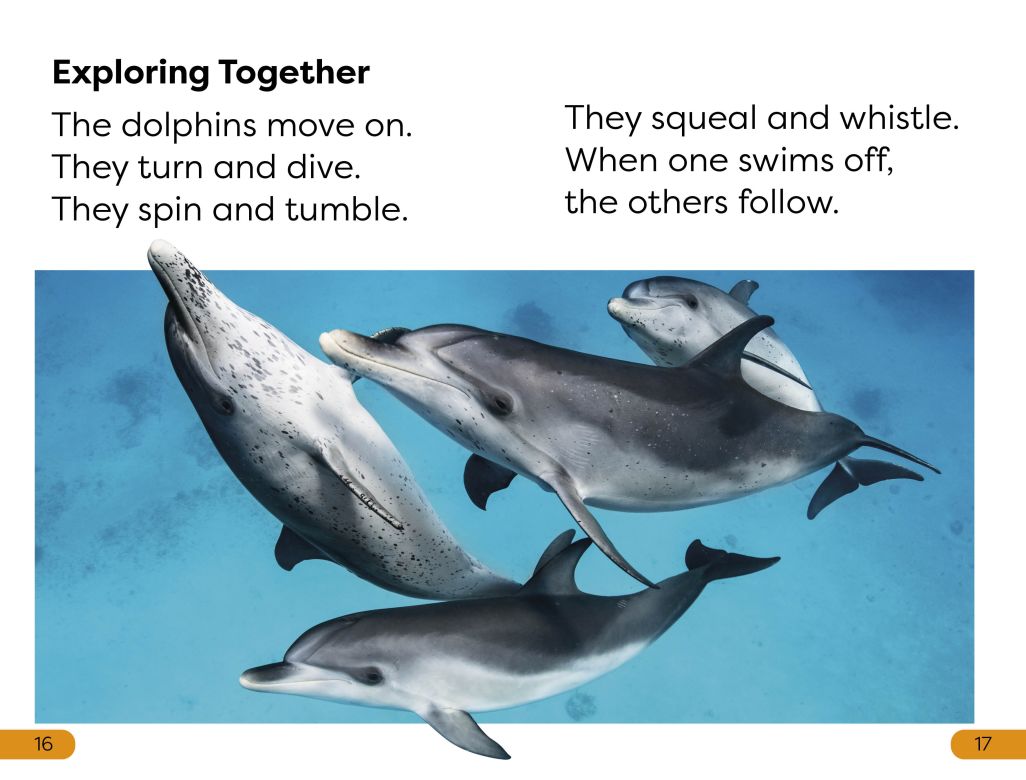DK Super Readers Level 1: Diving Dolphin