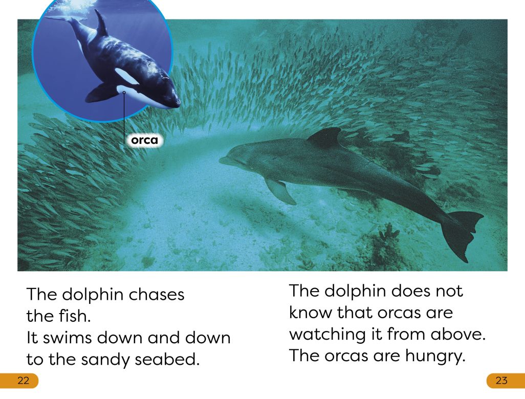 DK Super Readers Level 1: Diving Dolphin