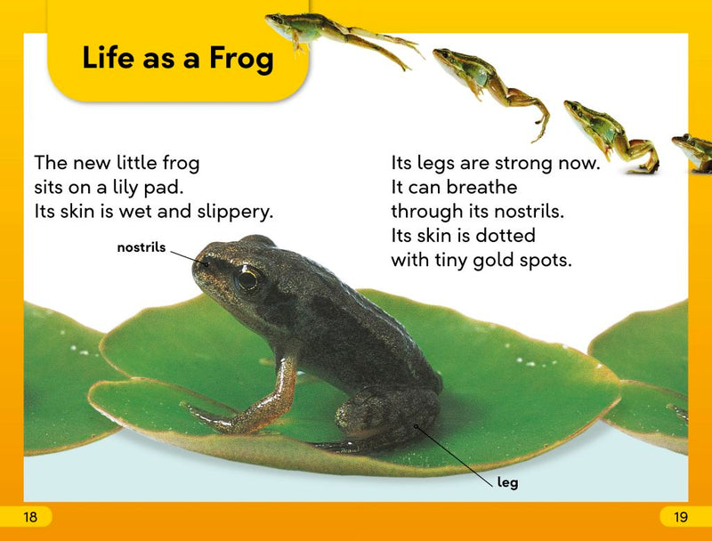DK Super Readers Level 2: Tale of a Tadpole