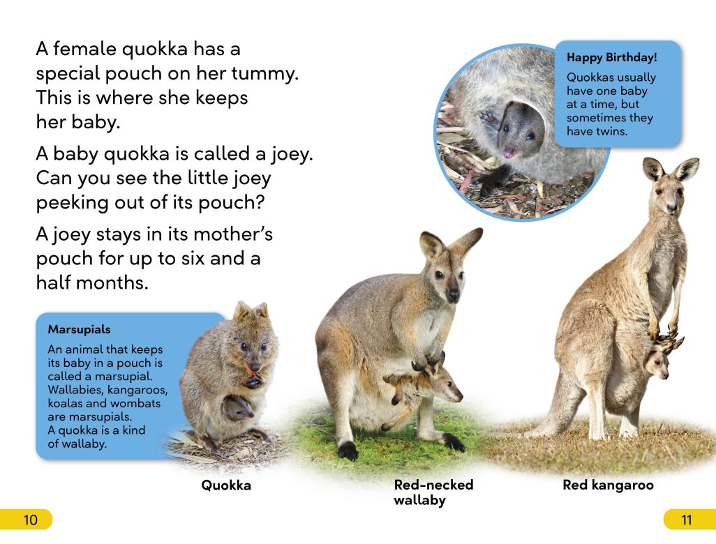 DK Super Readers Level 2: Quokkas