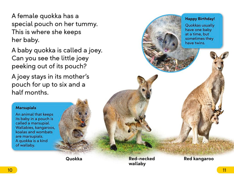 DK Super Readers Level 2: Quokkas