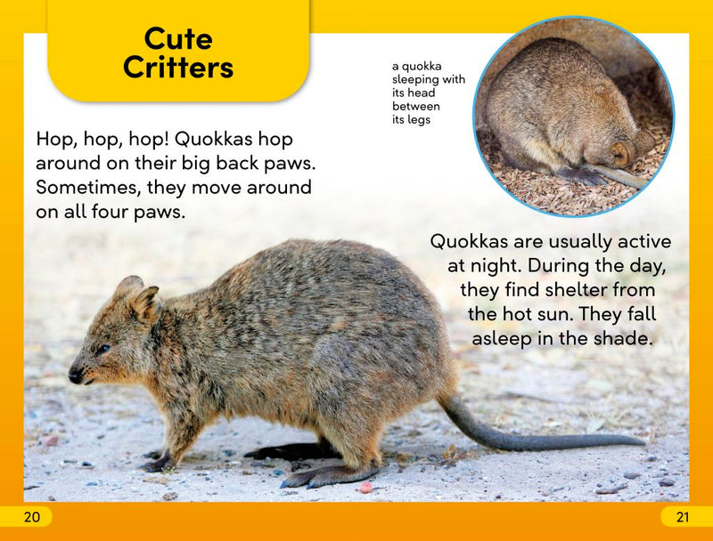 DK Super Readers Level 2: Quokkas