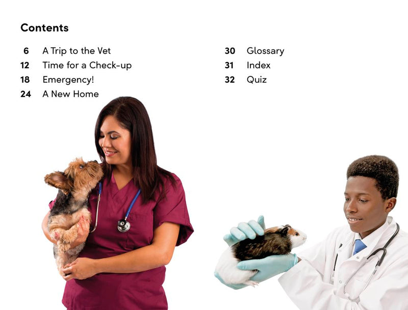 DK Super Readers Level 2: Animal Hospital