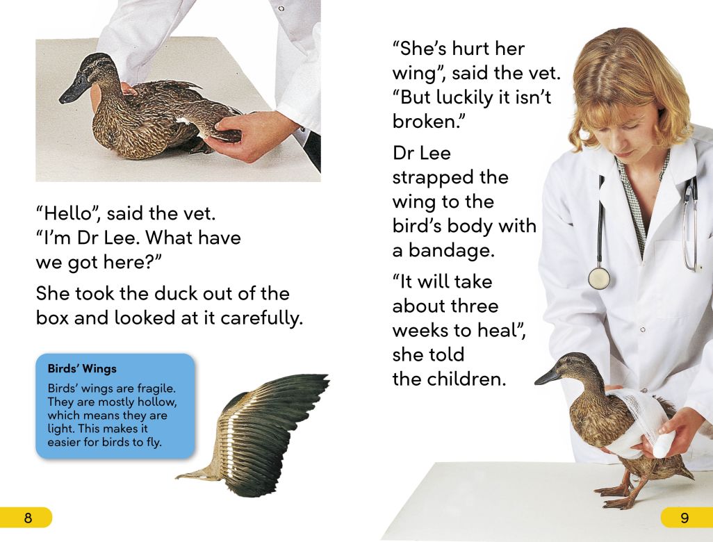 DK Super Readers Level 2: Animal Hospital