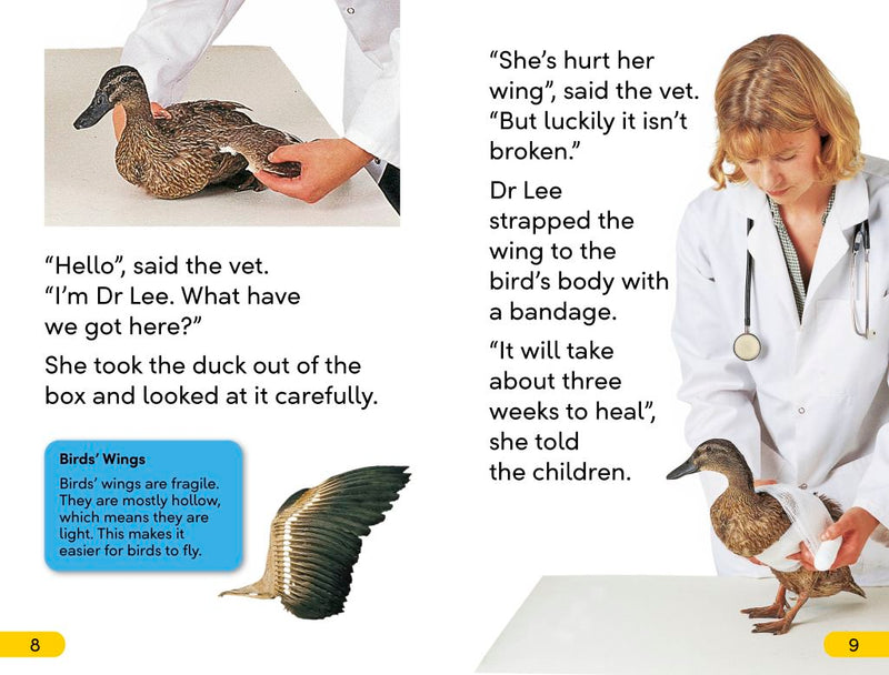 DK Super Readers Level 2: Animal Hospital