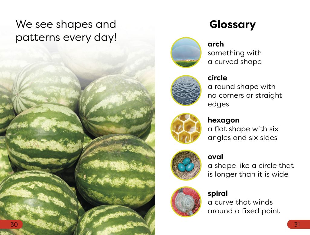 DK Super Readers Pre-Level: Shapes and Patterns in Nature