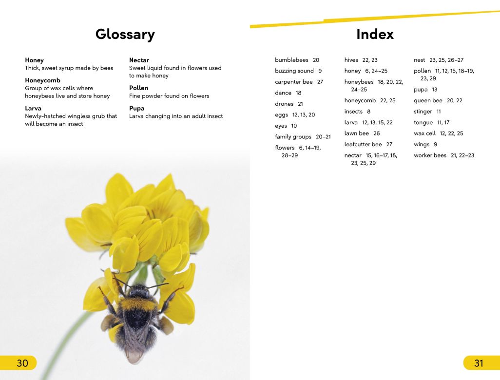 DK Super Readers Level 2: Amazing Bees