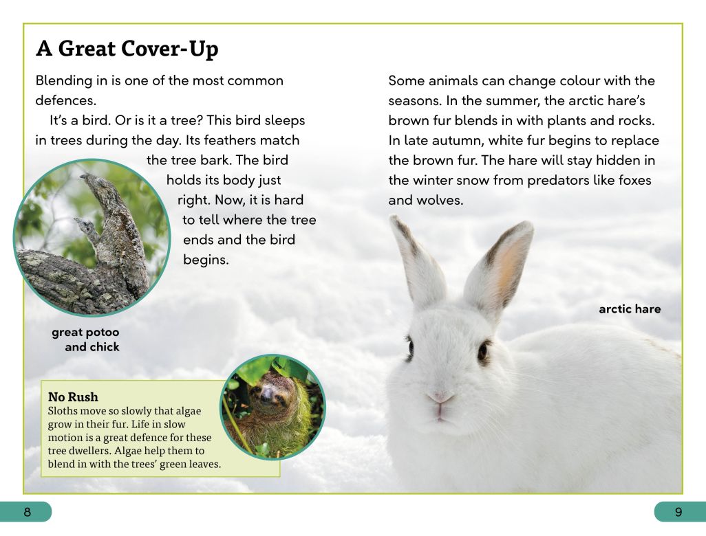 DK Super Readers Level 3: Animal Defences