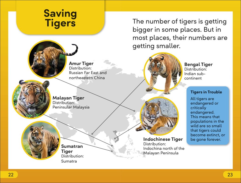 DK Super Readers Level 2: Save the Tigers