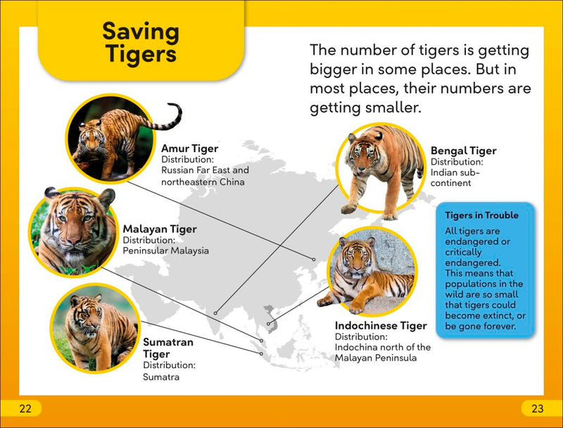 DK Super Readers Level 2: Save the Tigers