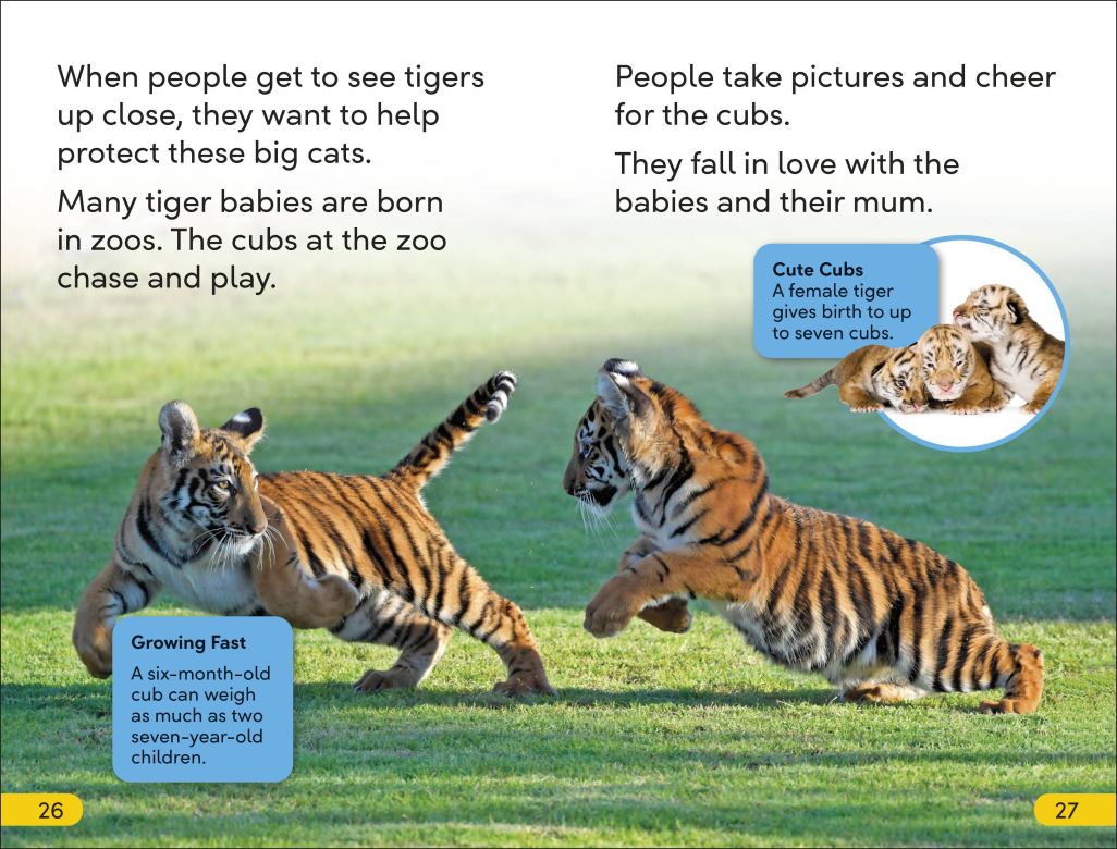 DK Super Readers Level 2: Save the Tigers