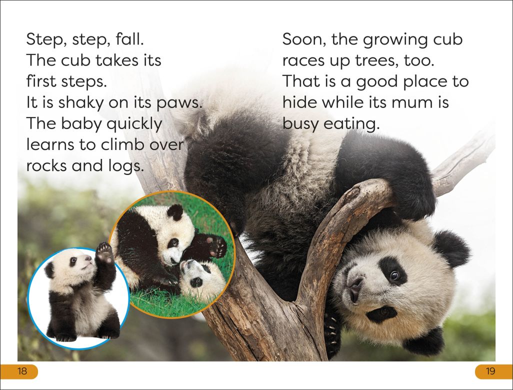 DK Super Readers Level 1: Save the Pandas