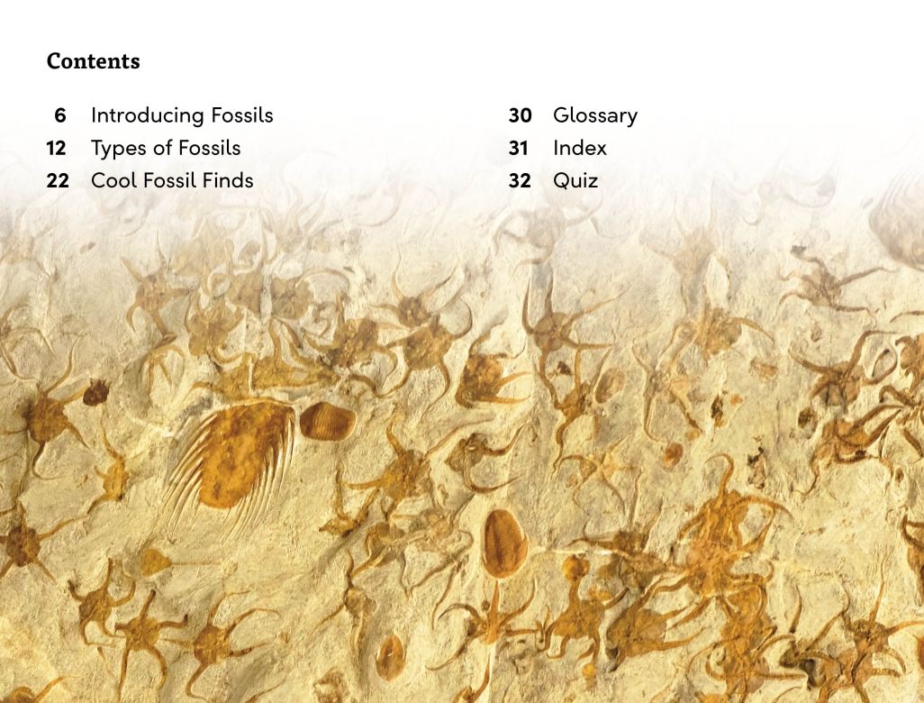 DK Super Readers Level 3: Fossils