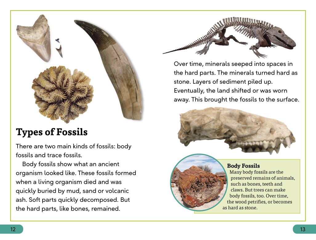 DK Super Readers Level 3: Fossils
